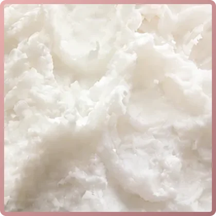Organic Coconut Oil